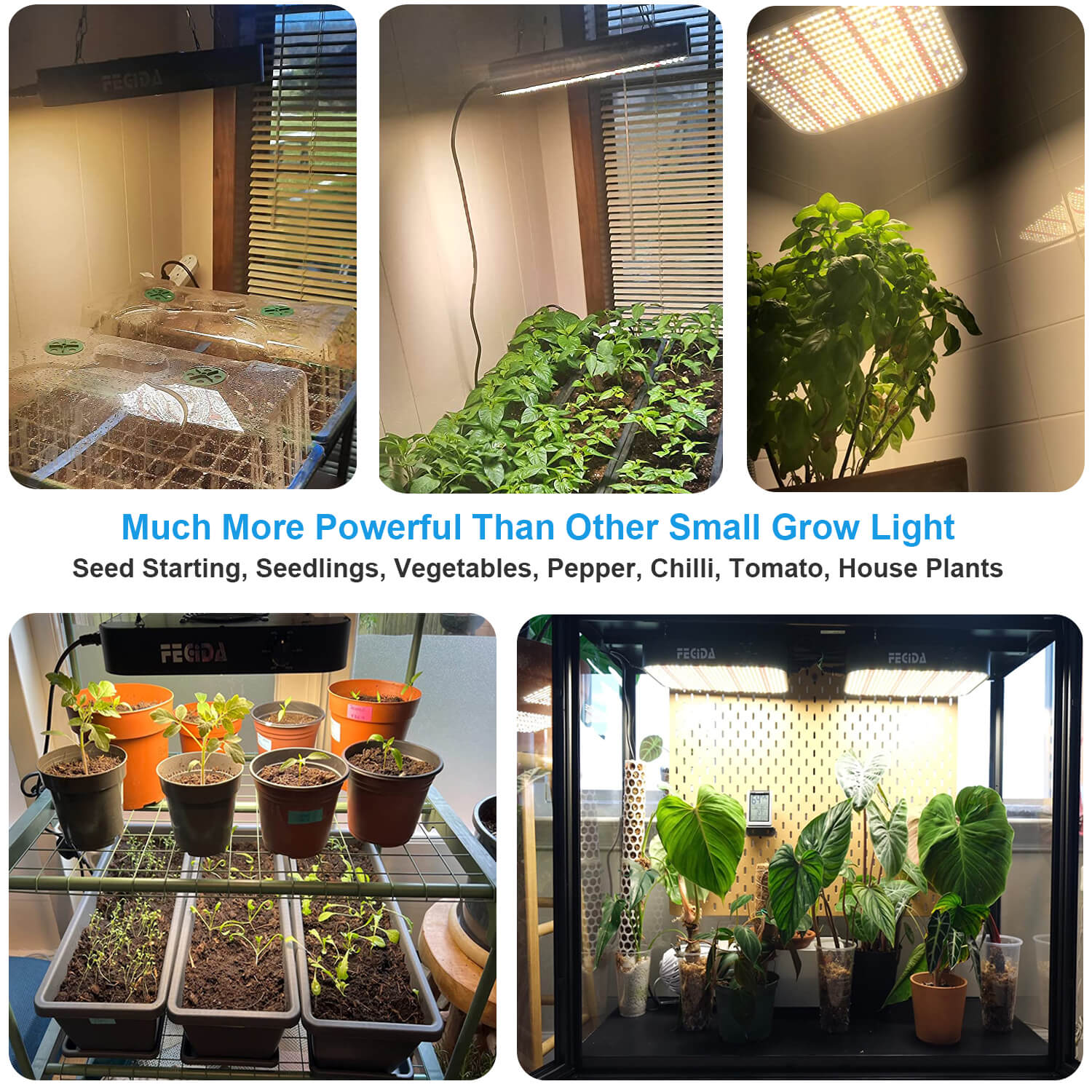  FRGROW LED Grow Lights 1000W Dimmable, UV-IR Full