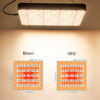Factory Wholesale CR4000 1000W 5x5 ft LED Grow Light (3 Pieces) - Image 4