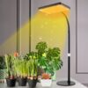 Factory Wholesale Desk Grow Light (16 Pieces) - Image 2