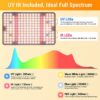 Factory Wholesale Desk Grow Light (16 Pieces) - Image 4