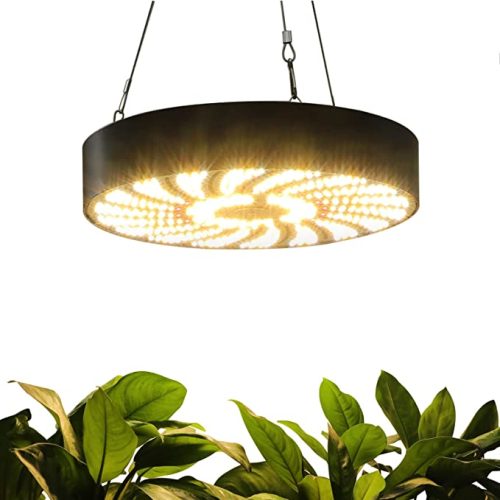 FECiDA Lampe pour Plantes Le Bureau, 200W Lampe Horticole LED